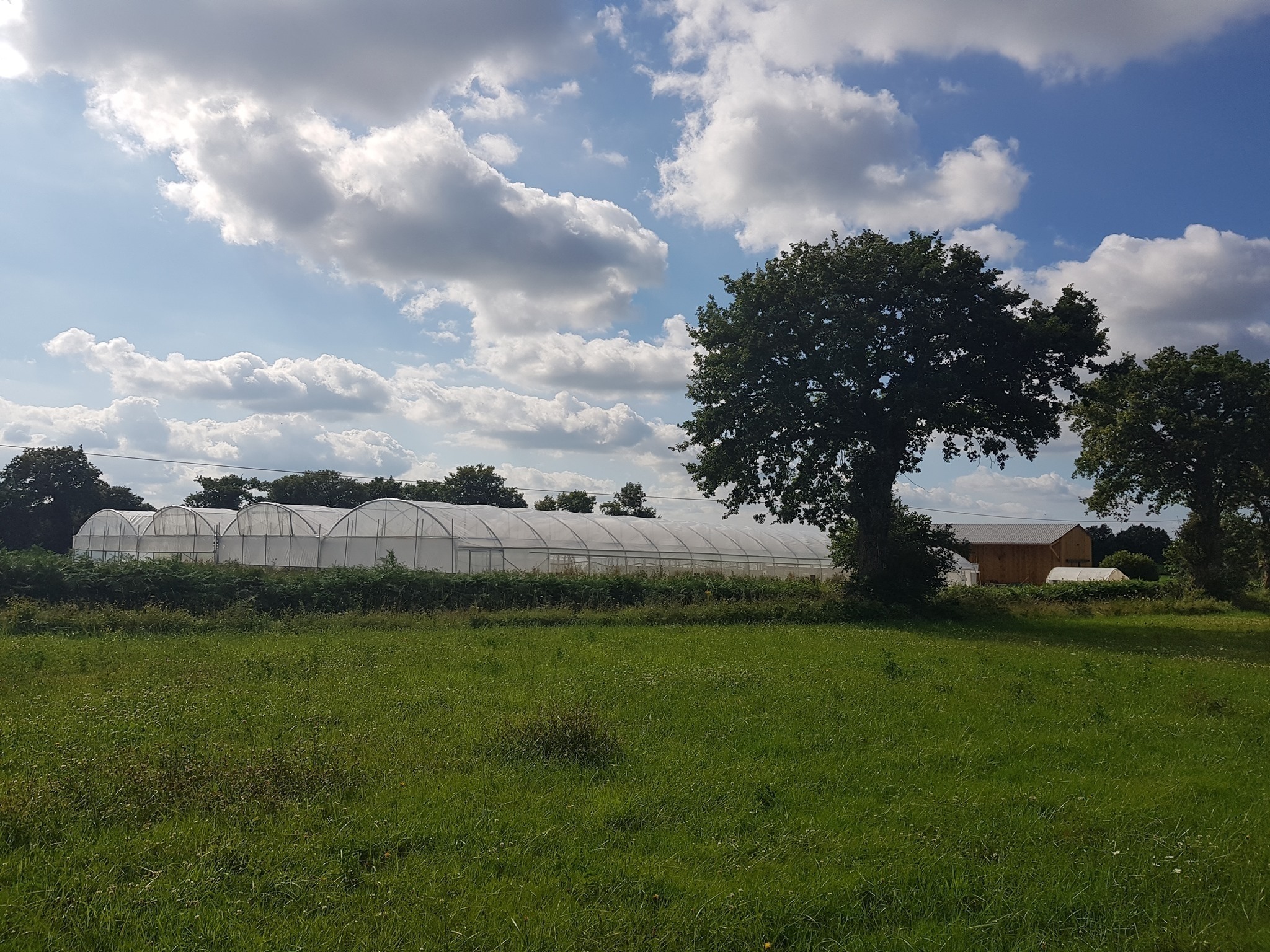 AGRICOOL Boutique En Ligne Drive Fermier PONT PEAN 35131 AGRICOOL Boutique En Ligne Drive Fermier PONT PEAN 35131